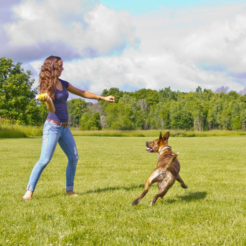 Hyper Pet Hyper Squawkers Dog Bone Durable Dog Toy Designed from TPR and Nylon with an Enticing Giggle Noise Medium - Image 3